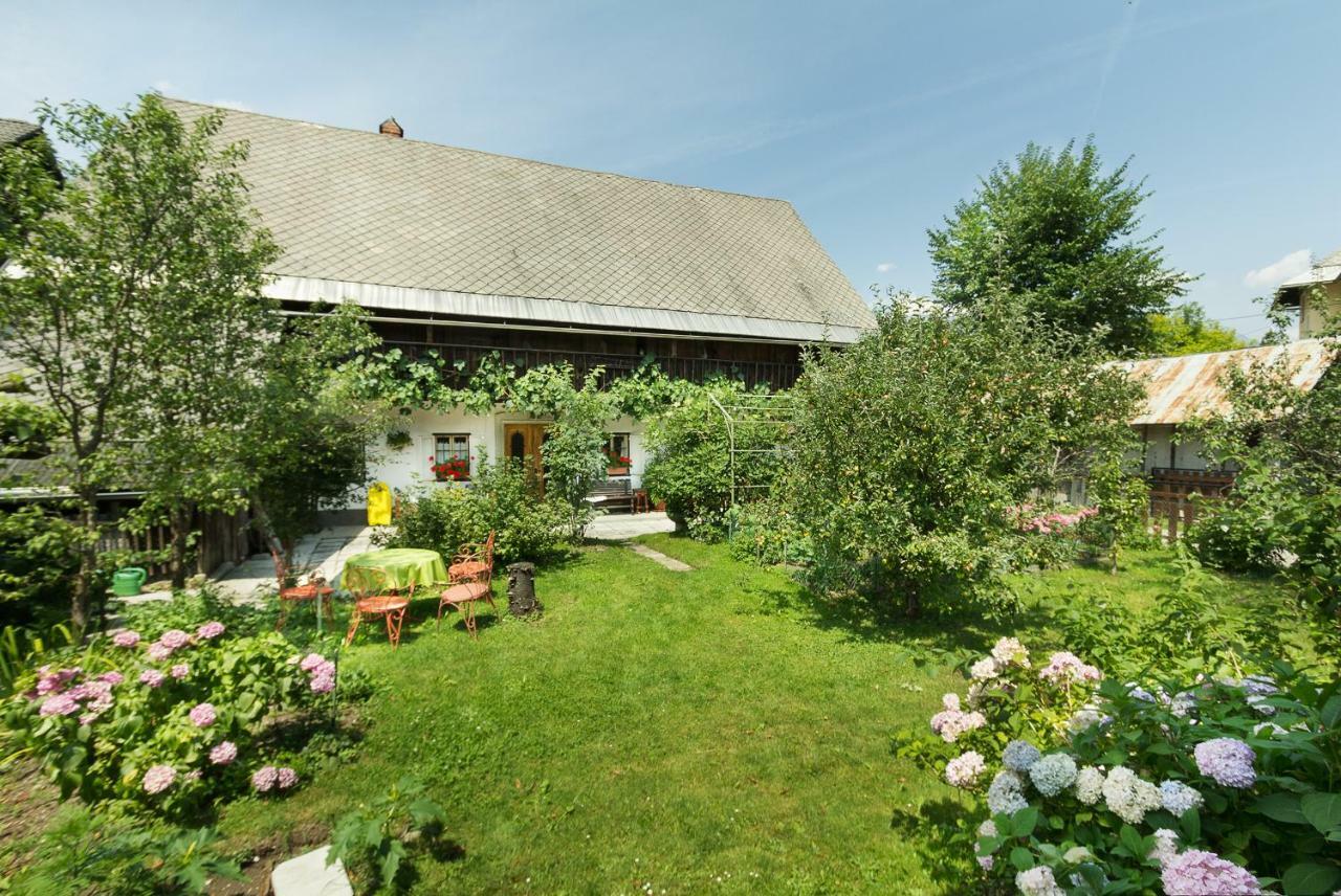 House, Garden And A Green Cat Bled Eksteriør billede